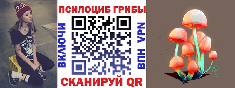 Галлюциногенные грибы Psilocybe купить наркоту Валуйки