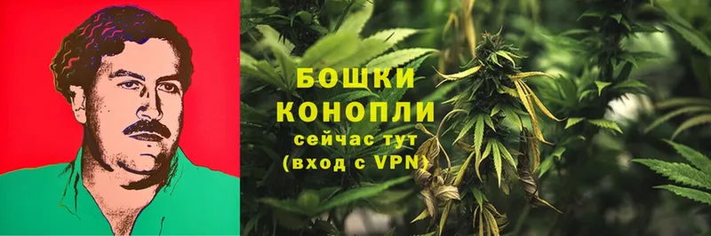 Марихуана SATIVA & INDICA  Валуйки 